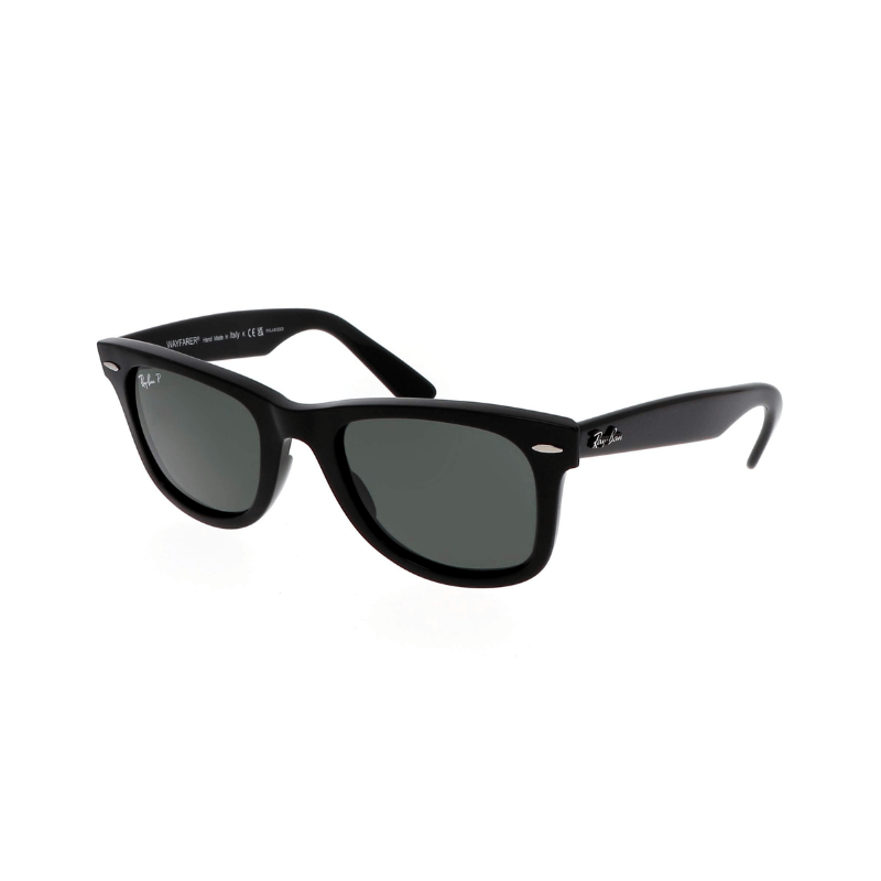 Gafas Wayfarer  Mate